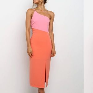 NWT petal and pup color block dress